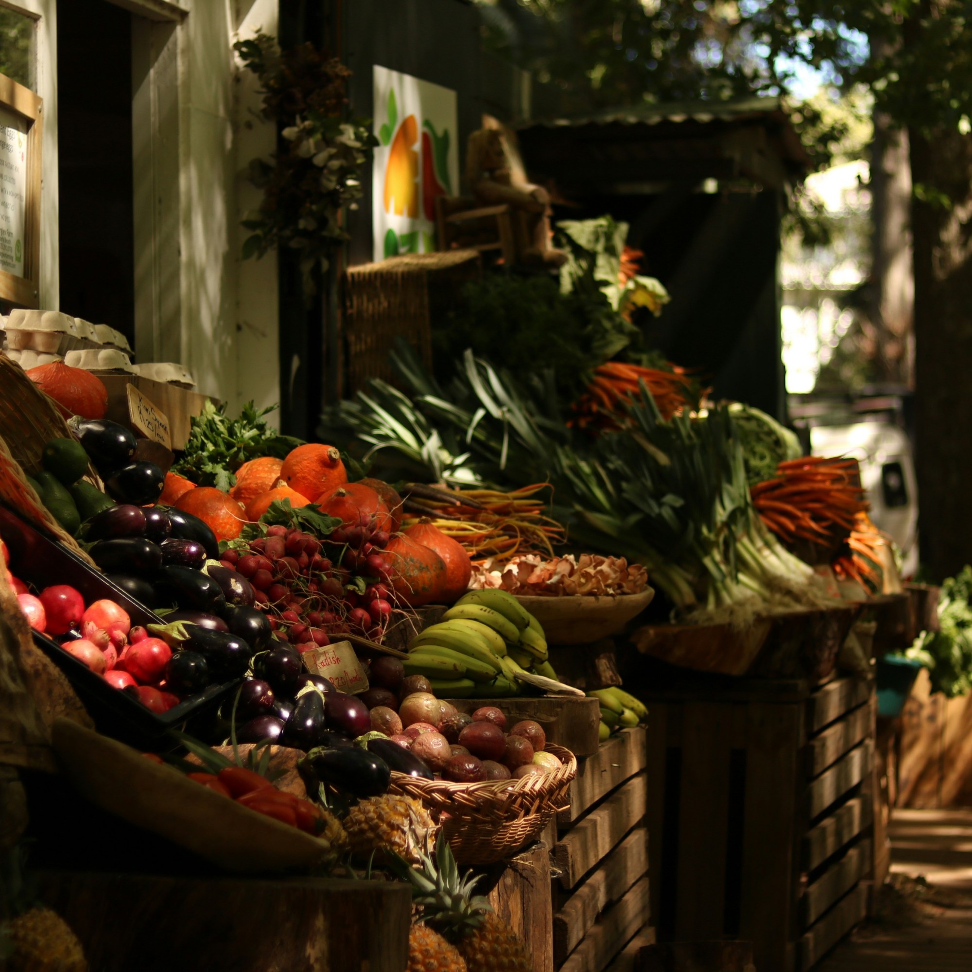 Les producteurs de MamiVane, votre food-truck normand : des fruits et légumes de saison pour vous régaler avec notre food truc normand