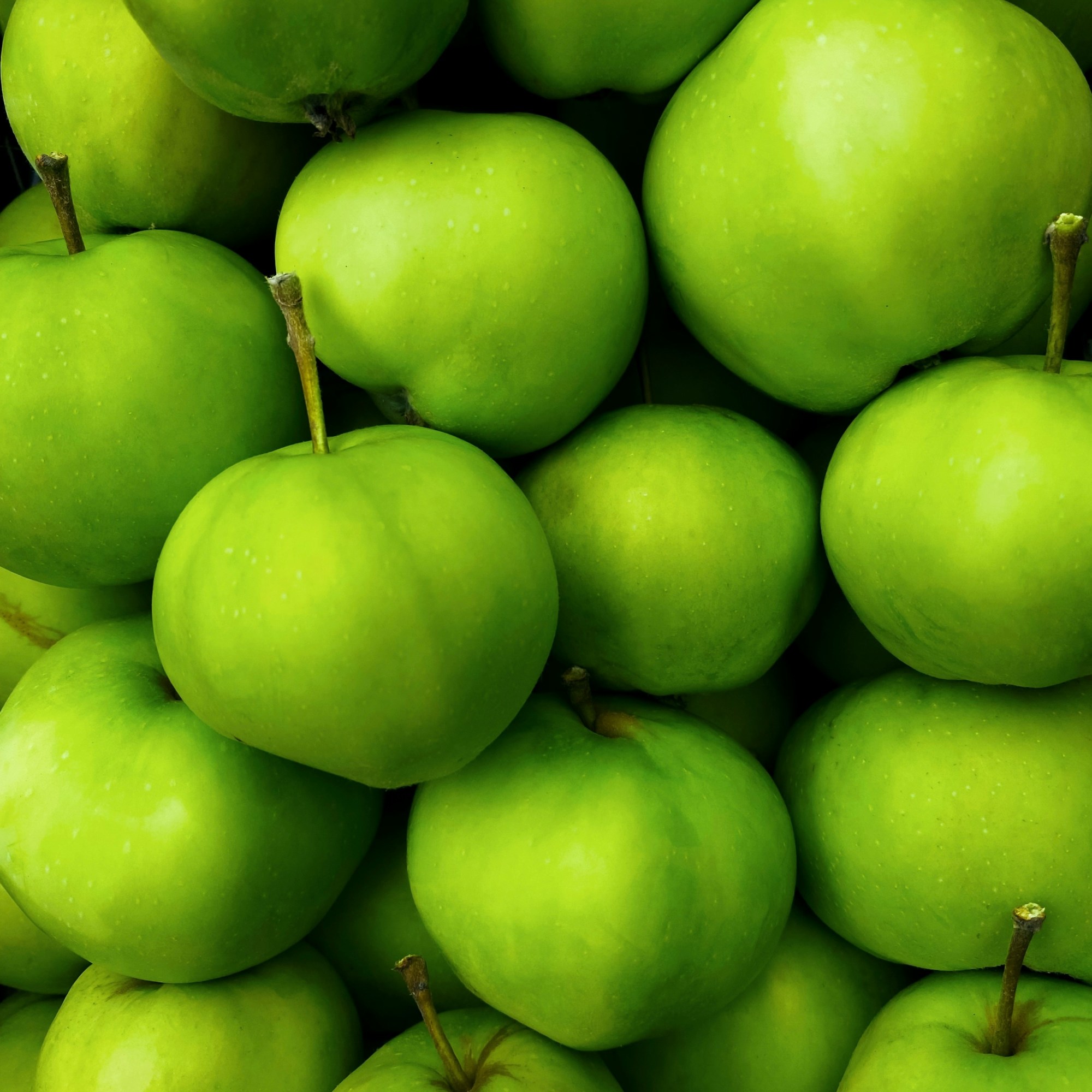 Les producteurs de MamiVane, votre food-truck normand : du cidre pour vos événements !