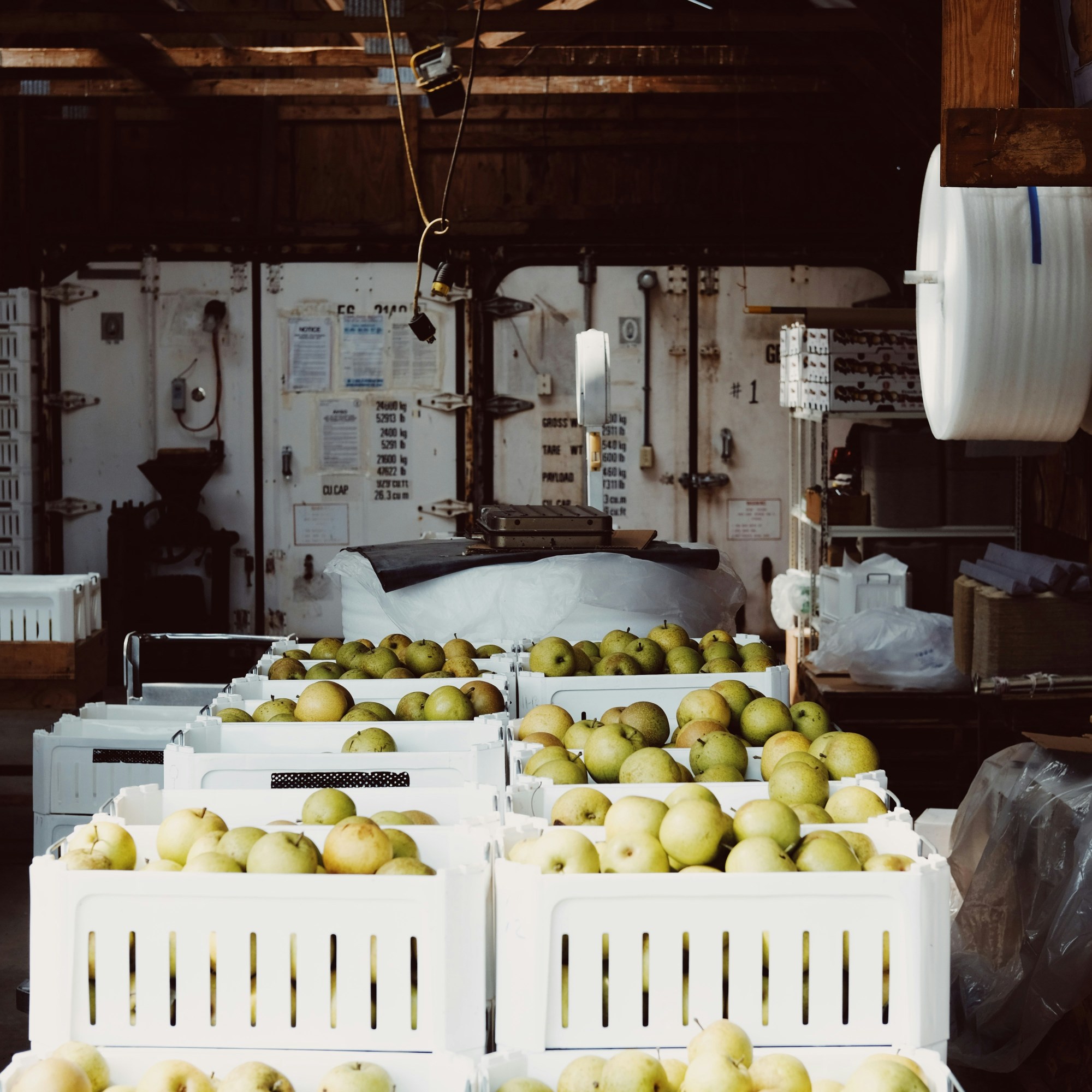 Les producteurs de cidre de MamiVane, votre food-truck normand, du local et du sain